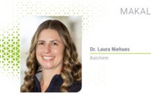 Diyet lizin miktarı artırılmış turbo şarj rasyonları