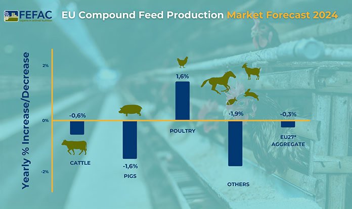 AB yem üretiminin 2024 yılında 147 milyon tona düşeceği tahmin ediliyor