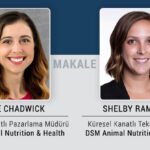 Kanatlı eti ve yumurtasında “Sıfır Salmonella” hedefine ulaşmak için çok yönlü bir strateji