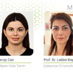 Esans yağlar bağırsak mikrobiyatasını iyileştiriyor