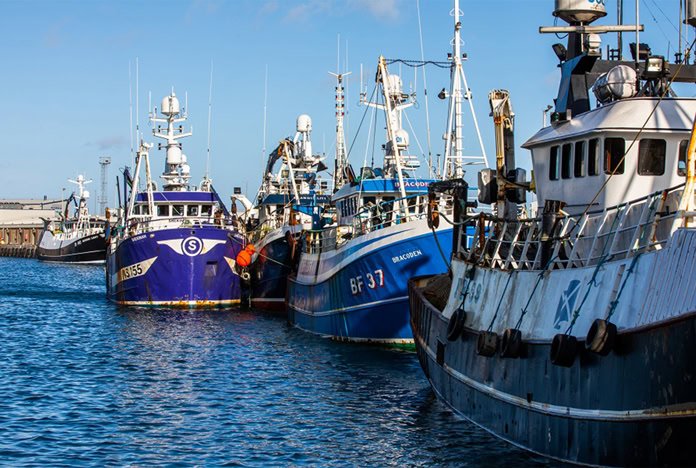 Gıda güvenliği için sorumlu balıkçılık ve deniz kaynaklarının yönetimi