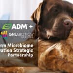 Gnubiotics ve ADM, evcil hayvan sağlığı ve refahı için ortaklık kurdu