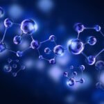 Hayvan Beslemede Organik Asitler: Küresel Pazar Durumu ve Tahminler