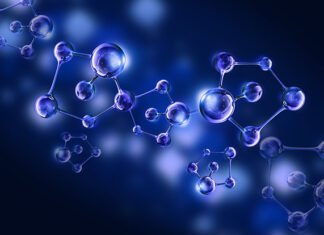 Hayvan Beslemede Organik Asitler: Küresel Pazar Durumu ve Tahminler