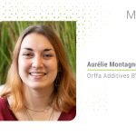 Hayvan beslemede karmaşık ve çok faktörlü bir kavram: Yem Verimliliği