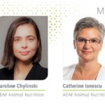 Hayvan beslemede yem verimliliği: Daha azla daha çok nasıl yapılır?