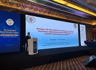 Hayvancılık sektörü ve akademi, Antalya’da hayvan besleme kongresinde buluştu