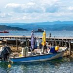 IFFO balık unu üretimindeki artışa dikkat çekiyor