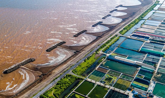 Phileo by Lesaffre, Aquasaf Shrimp programını tanıttı