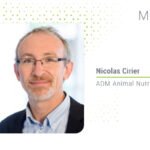 Isı stresi ruminant performansını nasıl etkiler?