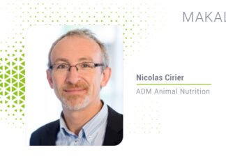 Isı stresi ruminant performansını nasıl etkiler?