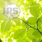 JRS, hayvan besleme çözümleriyle Türkiye’de