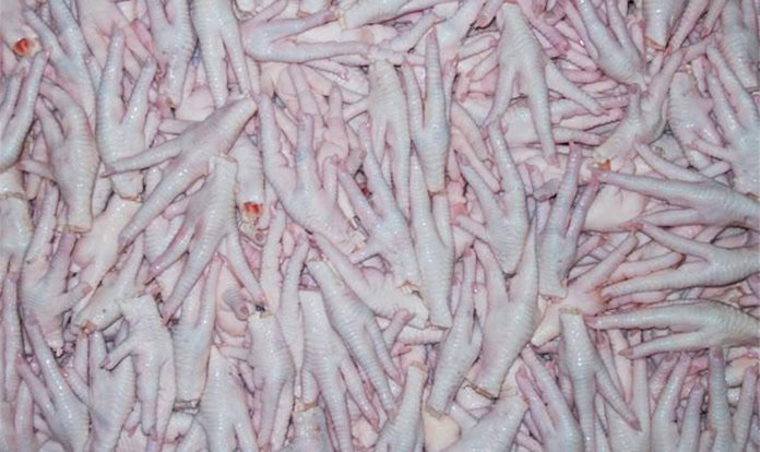 Kanatlı sektörü, 200 milyon dolarlık ihracat için Çin’den izin bekliyor