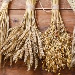 Küresel Buğday Arzı ve Talebi & 2024 Beklentileri