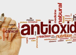 Küresel Yem Antioksidanları Pazarı