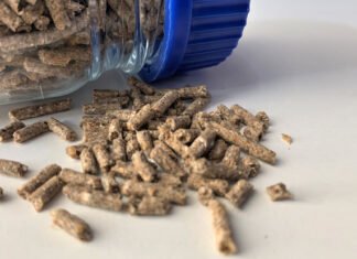 Küresel Yem Koruyucuları Pazarı