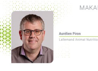 Laktasyondaki ineklerde sıcaklık stresiyle mücadelede yem formülasyonu stratejileri