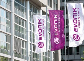 Evonik to commission its methyl mercaptan production plant in 2024
