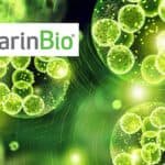 MarinBio 5 milyon euro bütçeli AB Projesi’nde yer alacak