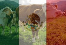 Mexico Animal Feed Markets 2020-2025