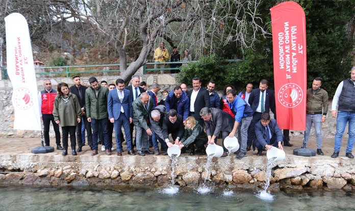 Muğla sularına 60 bin yavru balık bırakıldı