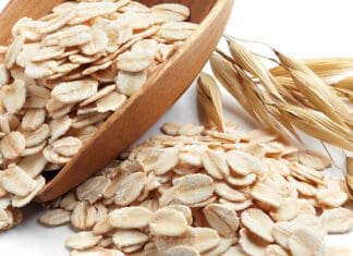 Yem Ham Maddeleri: YULAF ve 2021 BEKLENTİLERİ