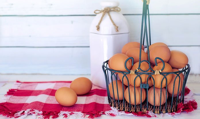 Ordu’dan Dubai’ye organik yumurta ihracatı