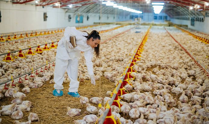 Orffa ve Florates, yeni bağırsak sağlığı teknolojisini tanıttı