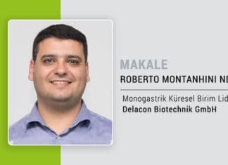 Problemi kökünden çözme: Kümes hayvanlarında PFA ile emisyon azaltımı