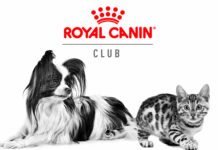 Royal Canin, kişiselleştirilmiş besleme fırsatı sunuyor