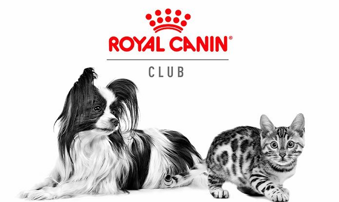 Royal Canin, kişiselleştirilmiş besleme fırsatı sunuyor