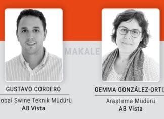 Yem maliyetlerinden tasarruf edin ve çevresel ayak izini azaltın