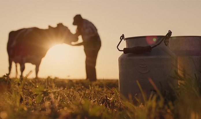 Sıcak havalarda serin su ve uygun takviyeler hayvanların verimliliğini koruyor