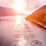 Skretting, balık refahına yönelik yeni fonksiyonel yemini tanıttı