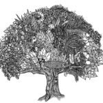 Skretting’de formülasyon temelleri ve MicroBalance®