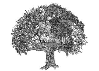 Skretting’de formülasyon temelleri ve MicroBalance®