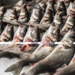 Su ürünleri sektörü, Türkiye’nin ihracat artış hızını ikiye katladı