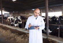 Tarımsal girdi enflasyonu yem maliyetlerini yukarı çekmeye devam ediyor