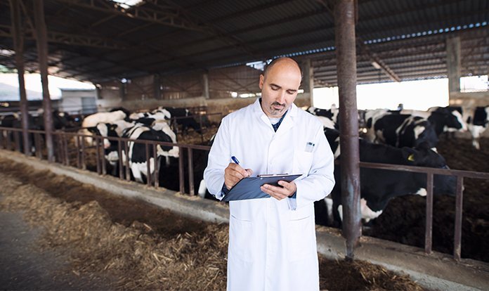 Tarımsal girdi enflasyonu yem maliyetlerini yukarı çekmeye devam ediyor