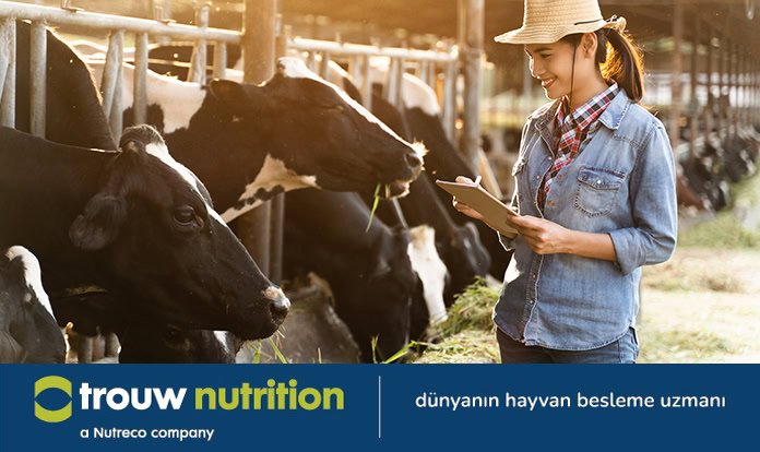 Trouw Nutrition, süt ineklerinde doğru mineral dengesine dikkat çekiyor