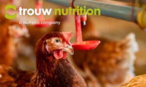 Trouw Nutrition uzmanları kanatlılarda yüksek performans için su kalitesine dikkat çekiyor