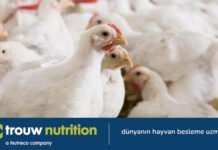 Trouw Nutrition’ın PhytoComplex yaklaşımı hayvan beslemede kuralları değiştiriyor