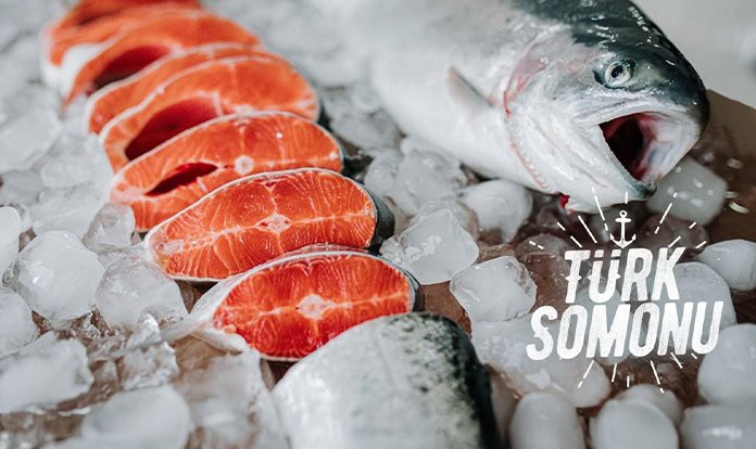Türk somonu ihracatı son 5 yılda 17 kat arttı