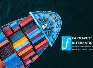 Türkiye’den Çin’e yem katkı ihracatı