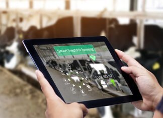 Verimlilikten Sürdürülebilirliğe: Hayvan beslemede büyük veri ve AI