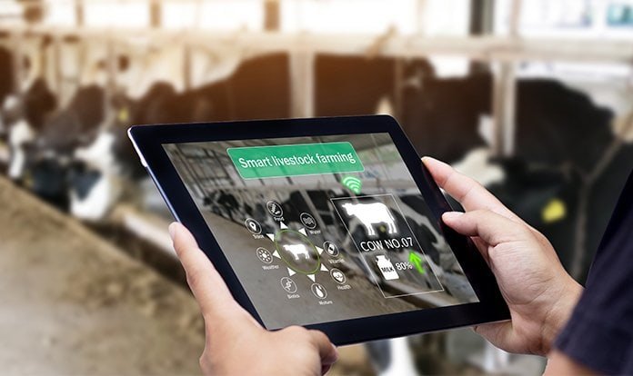 Verimlilikten Sürdürülebilirliğe: Hayvan beslemede büyük veri ve AI 