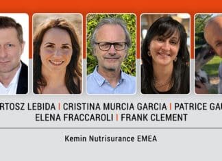 Evcil hayvan maması güvenliği nedir ve nasıl sağlanır?