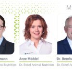 Yumurtacı tavuklar için fitojenik yem katkı maddeleri: Bağırsak sağlığı ve uzun ömür için doğal çözümler