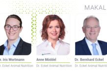 Yumurtacı tavuklar için fitojenik yem katkı maddeleri: Bağırsak sağlığı ve uzun ömür için doğal çözümler