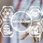 Yem Antioksidanları ve Küresel Pazar Durumu
